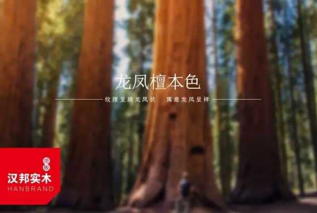 640.webp.jpg 640.webp.jpg