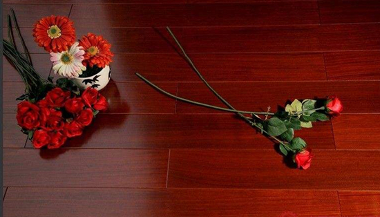 ��(sh��)ľ�ذ��������M(j��n)���ҵ�ҕҰ��