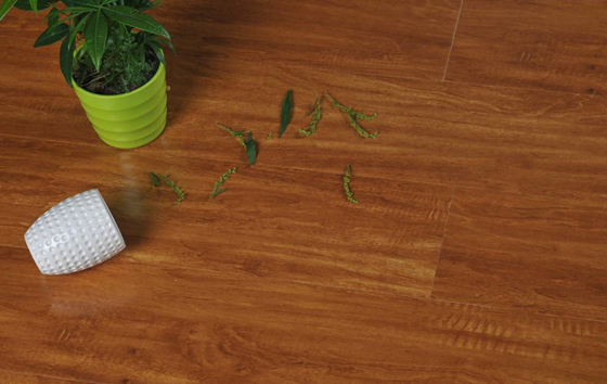 �ذ�S��������ҪͶ�Y�ߜ�(zh��n)��ʲô