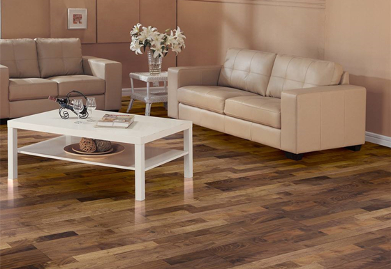 �ذ�Ʒ�Ƽ��˵�����ô�Ӳ��܉�ɹ�